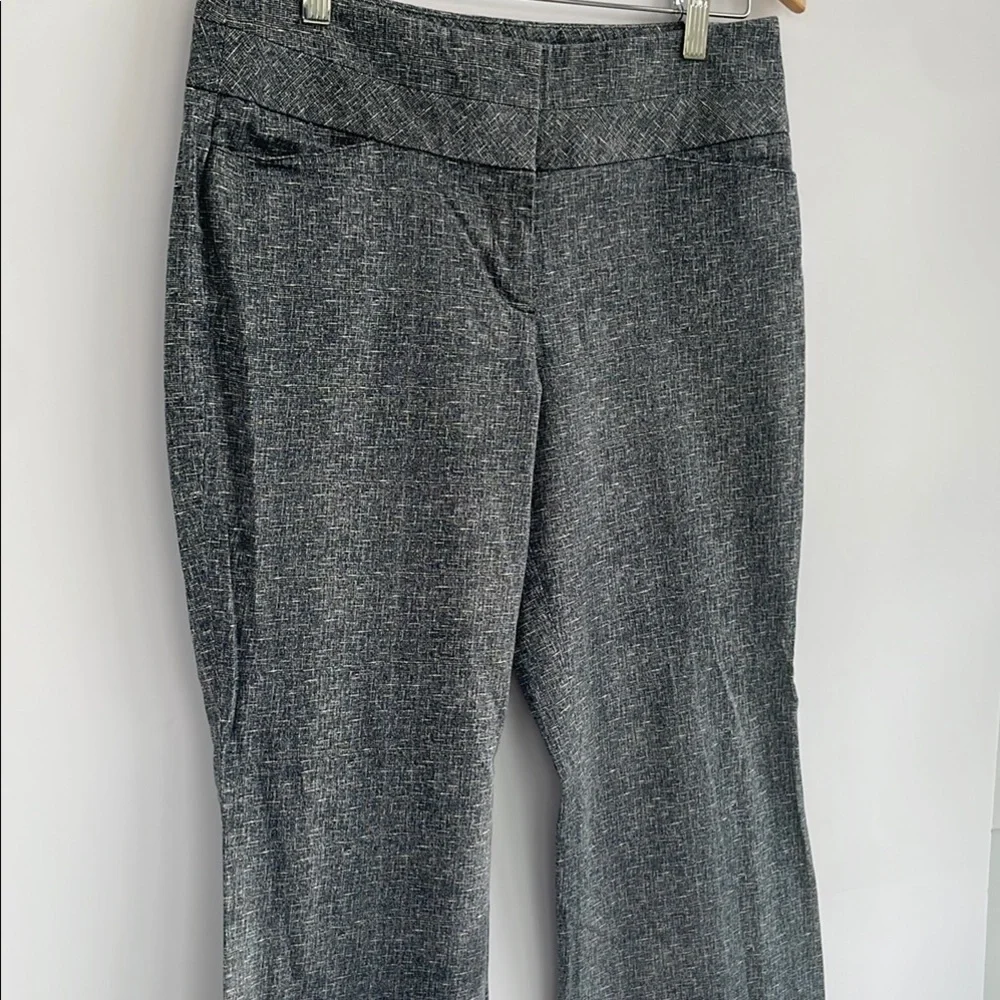Express Wide Leg Pants Office Slacks Size 4